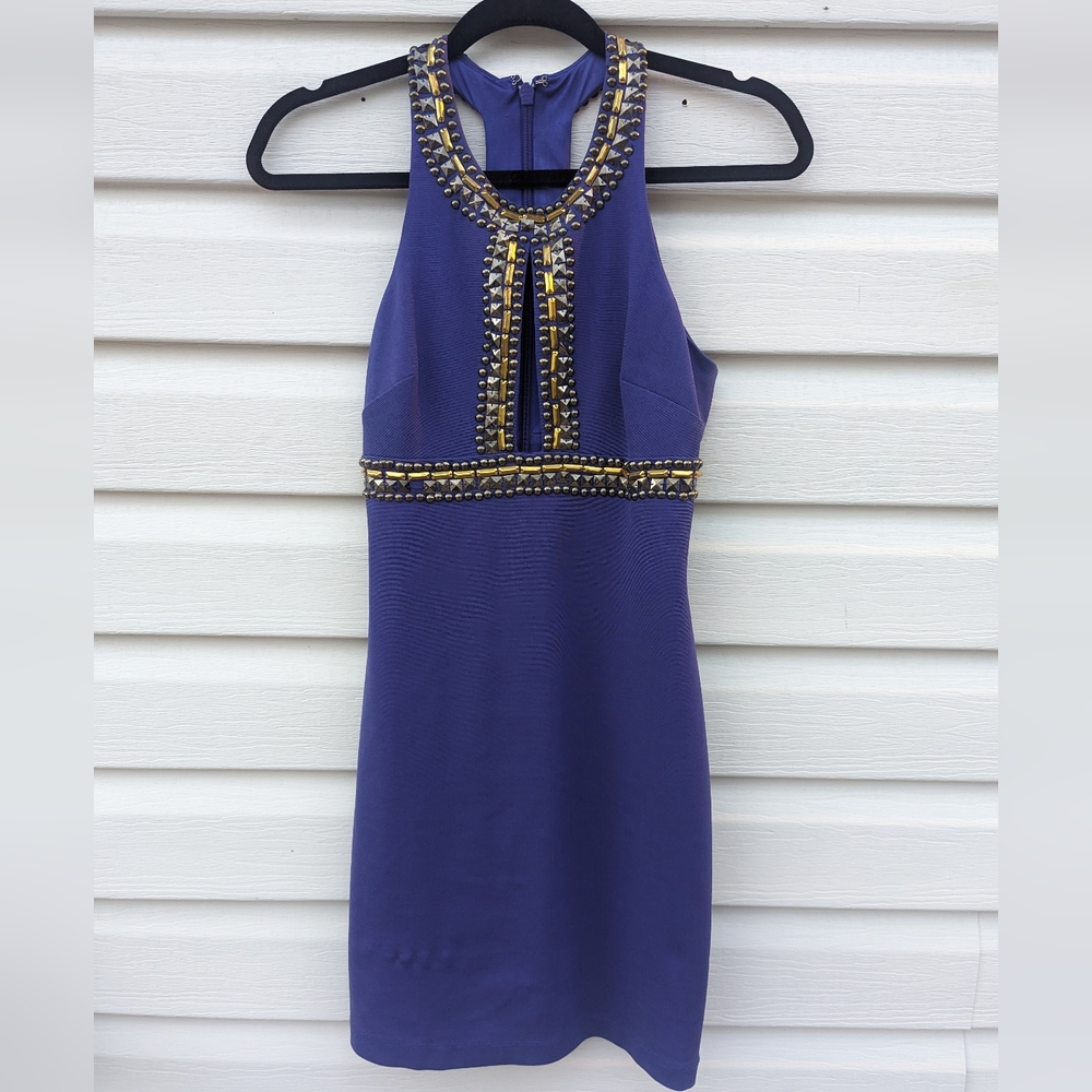 Bebe Bodycon Mini Dress